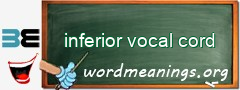 WordMeaning blackboard for inferior vocal cord